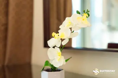 a white orchid in a white vase on a table at Fashion Avenue Dubai Mall in Dubai