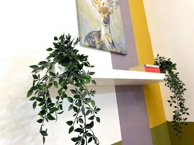 a shelf with a potted plant next to a painting at Double window Partition Room in Tecom Near Metro in Dubai