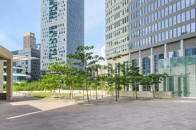 a group of trees in front of tall buildings at Frank Porter - Burj Daman in Dubai