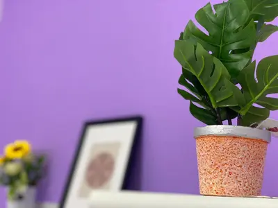 a plant in a pot sitting on a table at Single Partition Room in Al Barsha 1 Near Mashreq Metro in Dubai