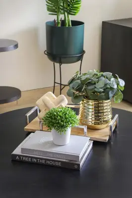 a tree in the house on a table with books and plants at Frank Porter - Genesis by Meraki in Dubai