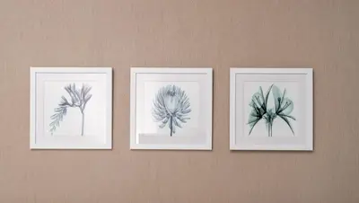 three framed pictures of plants on a wall at Damac Maison Prive DVR Vacation Homes in Dubai