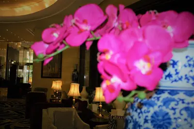 a vase filled with pink flowers in a room at Studio Apartment - Cozy, Very Accessible and so near to Train Station in Dubai