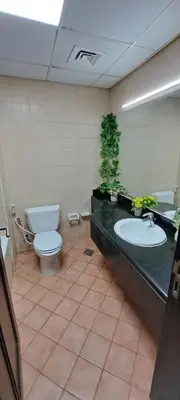 a bathroom with a sink and a toilet and a mirror at DRUVYA HOLIDAY HOMES, Bld DG083, Street No,3 Discovery Gardens, Close to The Gardens Metro 6 minutes walkable in Dubai