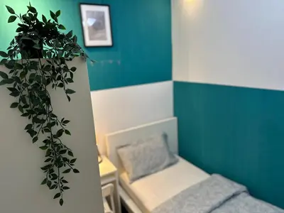 a small room with a potted plant on the wall at Epic Partition Room in Barsha Near Metro in Dubai