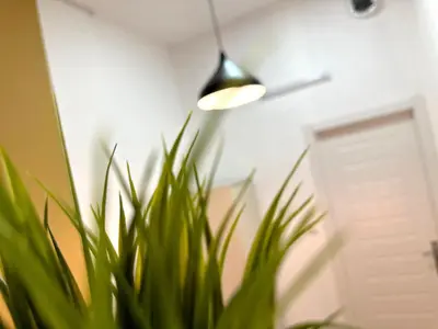 a light hanging from a wall next to a plant at Budget Double Partition Room in Barsha Heights Near Metro in Dubai