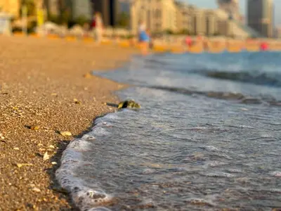 a sandy beach with a wave washing up on it at Seven Palm, Private beach, Infinity Pool, High Floor 3BDR in Dubai