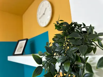 a clock on a wall next to a potted plant at Decent Partition Room in Barsha Heights Near Metro in Dubai