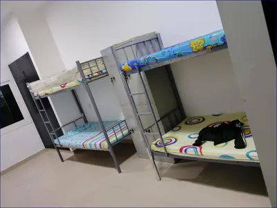 two bunk beds in a room with a cat on the floor at Studio Flat in AWS only Bachelor no family no children in Dubai