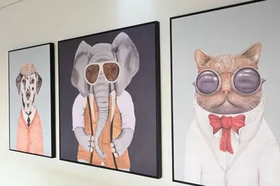 three pictures of a cat and a dog wearing sunglasses at Dubai Hills Collective Tower 2 in Dubai