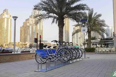 a row of bikes parked next to a palm tree at Your Scenic Dream Vacation in Dubai