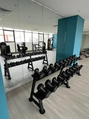 a gym with several rows of dumbbells and mirrors at Luxury Studio Brand New with HighEnd Furnishings in Dubai