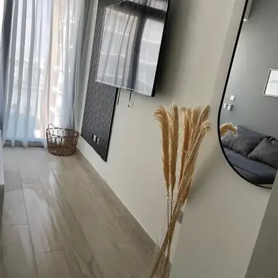 Chic apartment