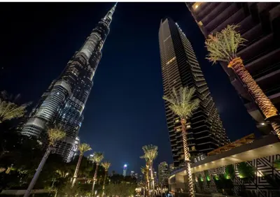 a city with tall buildings and palm trees at night at Address Dubai Opera Residences in Dubai