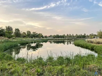 a pond in a field with grass and trees at Lively 1 BR in Damac Hills, Dubai - Host & Stay in Dubai