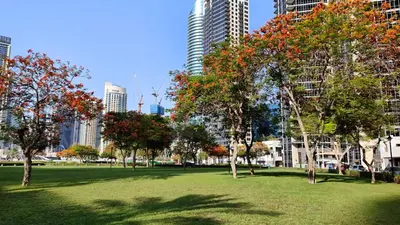 a park in a city with trees and buildings at Magnificent 4 Bedroom Apartment, Bellevue Tower in Dubai