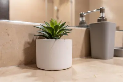 a plant in a white planter on a bathroom counter at Gala Guests - Deluxe Sparkle Residences Dubai Marina in Dubai