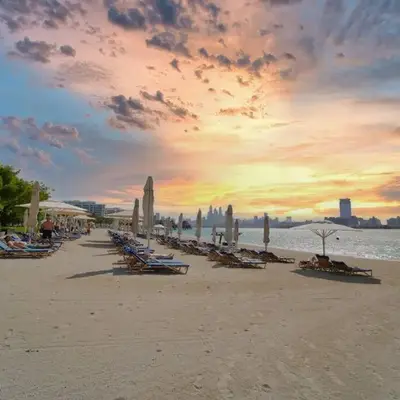 Palm Paradise 1BR - Beachfront Escape with Pool