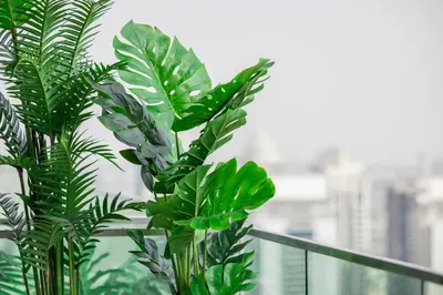 a green plant sitting on top of a balcony at Daniels 1BR Marina Horizon Retreat in Dubai
