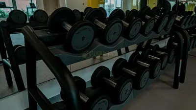 a row of dumbbells on display in a gym at Medore Entire Brand New Flat in Dubai in Dubai