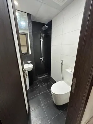a bathroom with a toilet and a sink at Peaceful Studio Getaway in Liwan in Dubai