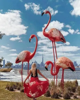 a woman is sitting on a sculpture of flamingos at Contemporary 1BR condo with pool at Creek Harbour in Dubai