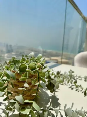 a plant in a basket sitting on a table at Lujo Dubai Marina in Dubai