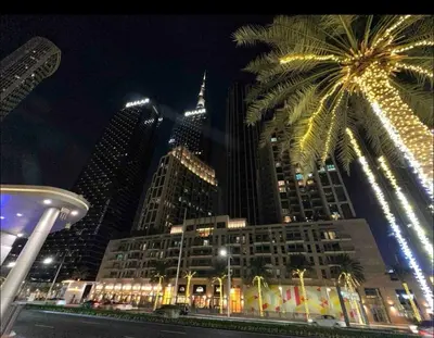 a building with a palm tree in front of some tall buildings at Luxury loft apartment downtown in Dubai