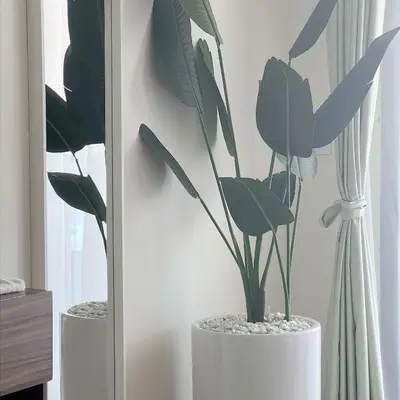a plant in a white vase in a room at Skyline Studio Apartment with Balcony in Dubai Marina in Dubai
