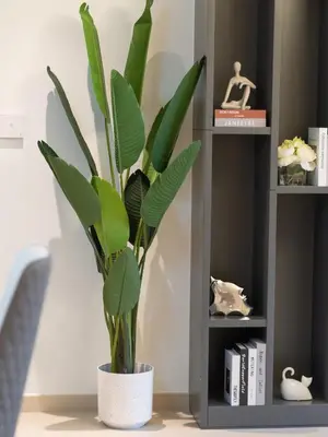 a green plant in a white pot in a room at Skyline 2 Bedroom Apartment I Burj Khalifa & Fountain Views I Free Gym, Pool, Parking, Wi-Fi and PS5 in Dubai