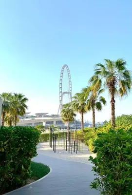 a walkway with palm trees and a ferris wheel in the background at Famous Address JBR HIGH FLOOR Sea View in Dubai