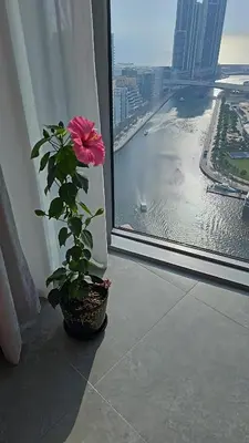a pink flower in a pot next to a window at Deluxe Marina View 2BR - Stella Maris Retreat in Dubai