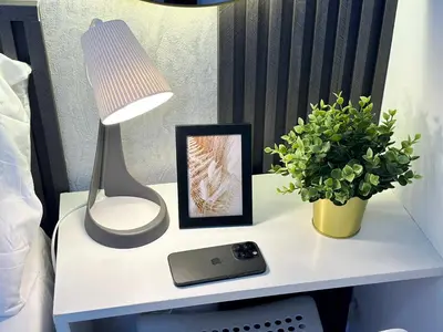 a nightstand with a lamp and a picture and a plant at Executive Suite Room in Barsha 1 Near MOE Metro in Dubai