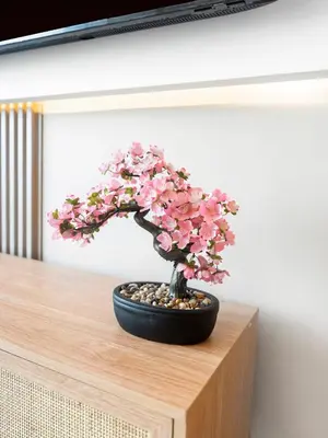 a bonsai tree sitting on top of a table at Brand New Downtown unit! Bvlgari World Island View in Dubai