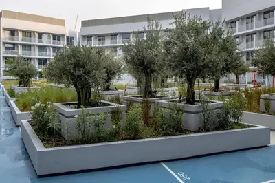 a garden of olive trees in a building at Waves - Luxury Meets Comfort, Modern 1BR in JVCs Luma22 in Dubai