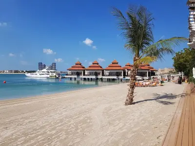 a palm tree sitting on a sandy beach next to the water at Dejaview Stays Luxury Apartment with Private Terrace, Burj & Sea View in Dubai