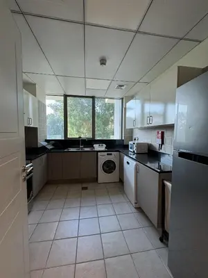 a large kitchen with a sink and a dishwasher at Dubai Apartment in Meydan in Dubai