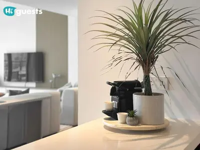 a potted plant sitting on top of a table at HiGuests - Beachfront Living Stunning 4 BR with Maid's Room in Dubai