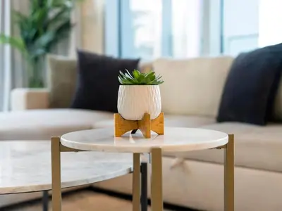 a table with a potted plant sitting on top of it at Dream Location - Luxury and Comfort in Dubai in Dubai
