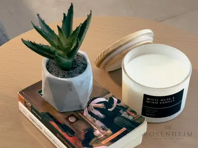 a plant sitting on a table next to a cup of milk at Luxury Canal View Studio at Sparkle Tower in Dubai