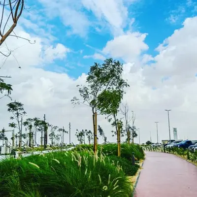 a path with trees on the side of a road at Elegant Studio Stay near Miracle Garden, Butterfly Garden & Dubai Hills Mall in Dubai