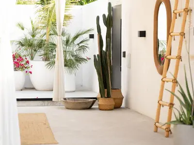 a room with potted plants on a shelf at Unique Beachside Studio, Shared Pool & Burj Khalifa View! in Dubai