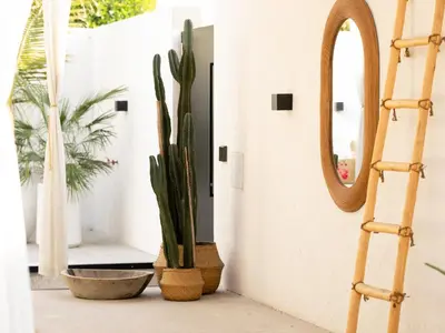 a room with cactus plants and a mirror at Unique Beachside Studio, Shared Pool & Burj Khalifa View! in Dubai