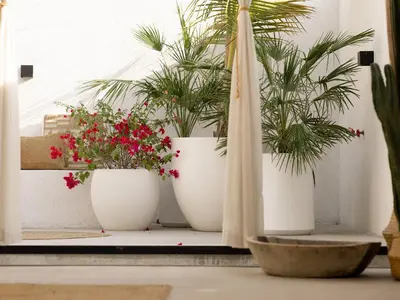 a group of potted plants sitting on a window sill at Unique Beachside Studio, Shared Pool & Burj Khalifa View! in Dubai