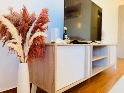 a vase with a plant on a counter with a tv at Aesthetically Designed Lavish Apt, Near Marina in Dubai