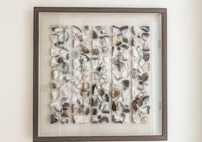 a framed picture of shells on a wall at DreamShoma-3BR Super Luxurious The Residence 5 Downtown in Dubai