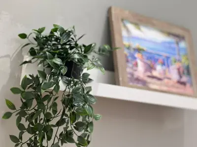 a green plant in a vase next to a picture at Compact Partition Room in Barsha in Dubai