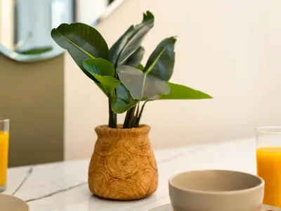 a wooden vase with a plant in it on a table at Spacious High Floor Apartment Dubai Marina in Dubai