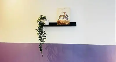 a colorful wall with a plant on a shelf at Ideal Partition Room in Barsha 1 Near Metro in Dubai