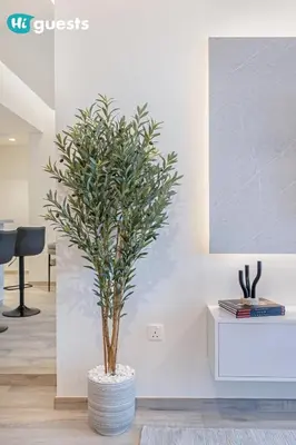a plant in a pot in a room at HiGuests - Modern & Stylish 1BR Apt - Near Business Bay Metro in Dubai